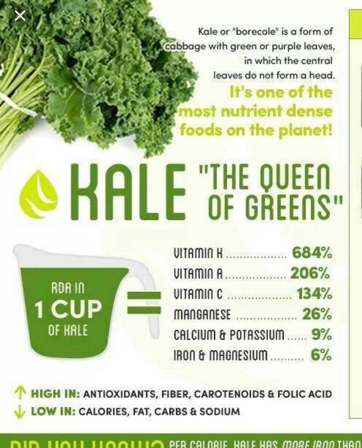 #1 Green Delight